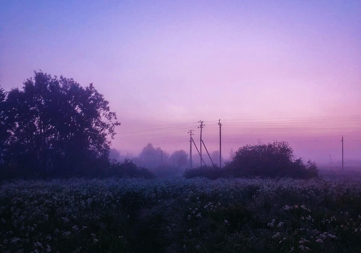 关于“黑料网不打烊”，我只想说：下载按钮最危险，真的能救你一次