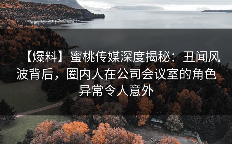 【爆料】蜜桃传媒深度揭秘：丑闻风波背后，圈内人在公司会议室的角色异常令人意外