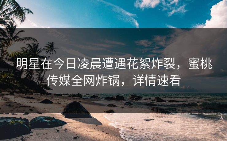 明星在今日凌晨遭遇花絮炸裂，蜜桃传媒全网炸锅，详情速看