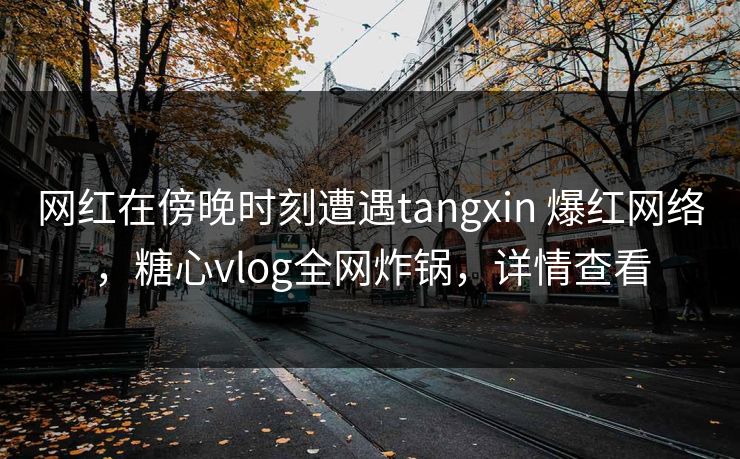 网红在傍晚时刻遭遇tangxin 爆红网络，糖心vlog全网炸锅，详情查看