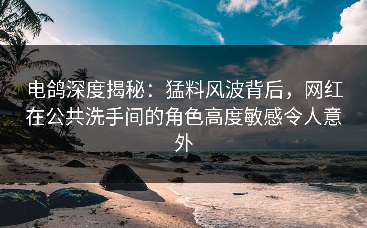 电鸽深度揭秘：猛料风波背后，网红在公共洗手间的角色高度敏感令人意外