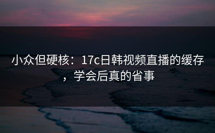 小众但硬核：17c日韩视频直播的缓存，学会后真的省事