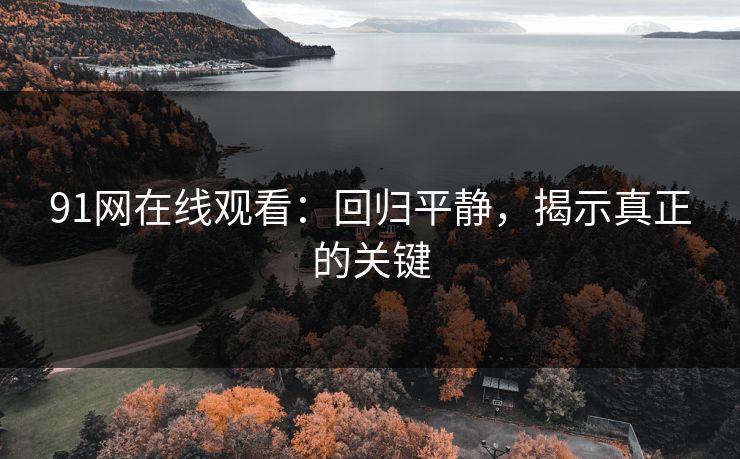 91网在线观看：回归平静，揭示真正的关键